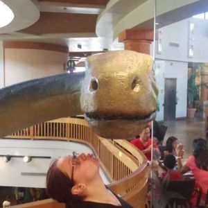 Meet your Posher, Jordan