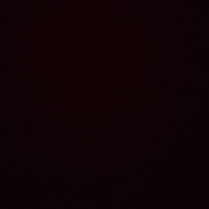 Meet your Posher, Julian