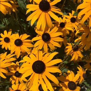 Meet your Posher, Angie