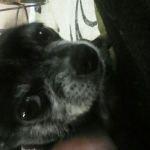 Meet your Posher, Eileen