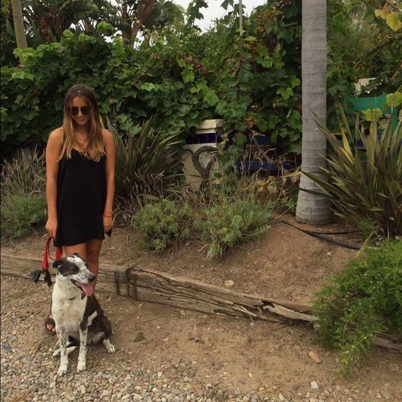 🌲 Meet your Posher, Alyx 🌲 - Picture 3 of 3