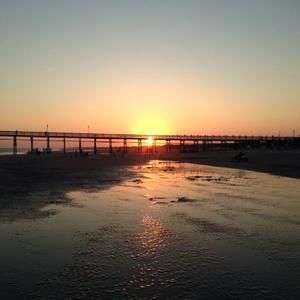 Meet your Posher, Marjorie