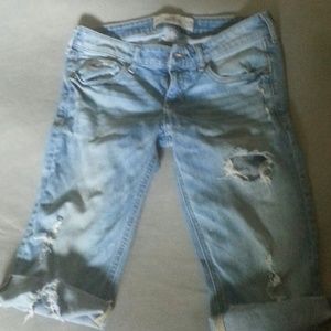 Hollister cut offs