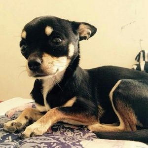 Meet your Posher, Delia