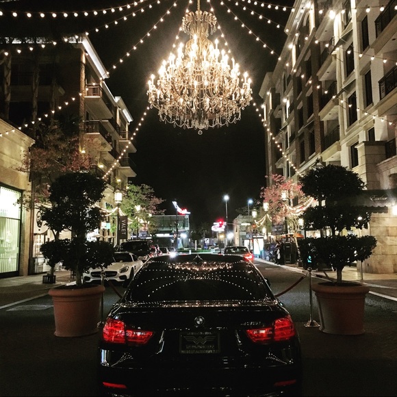 Meet your Posher, Zebraboots💃🏻💋 - Picture 3 of 7