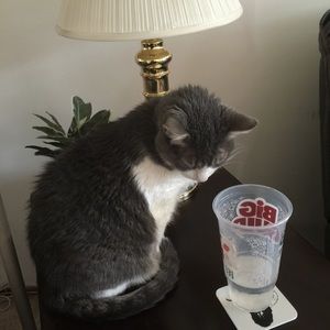 Meet your Posher, Aimee