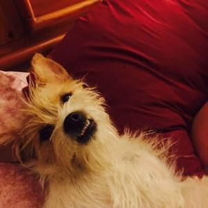 Meet your Posher, Debbie henry