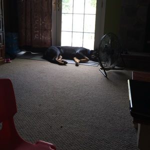 Meet your Posher, Jacquie