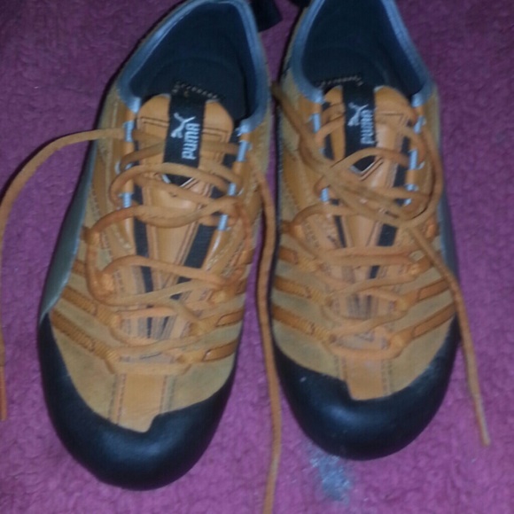 Pumas