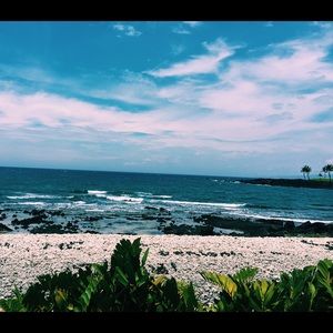 Meet your Posher, Sydney