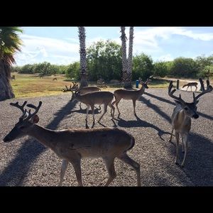 Meet your Posher, Aurora