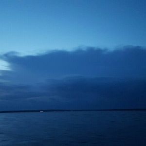 Meet your Posher, Shelby