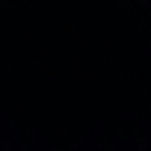 Meet your Posher, Ty