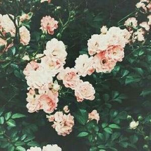 Meet your Posher, Megann