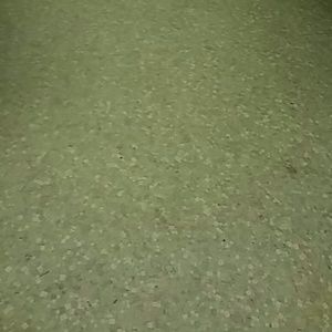 Meet your Posher, Silvia