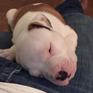 Meet your Posher, Franchesca