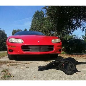 Meet your Posher, Caitlin