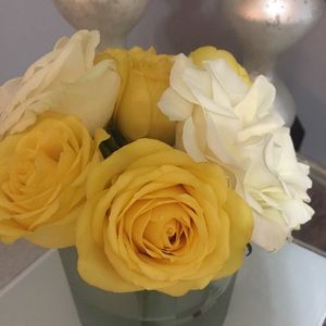 Meet your Posher, Mari