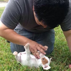 Meet your Posher, Liz