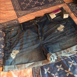 NWT Size 16 shorts!