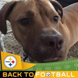 Meet your Posher, Cara