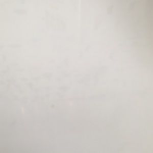 Meet your Posher, Jocelyn