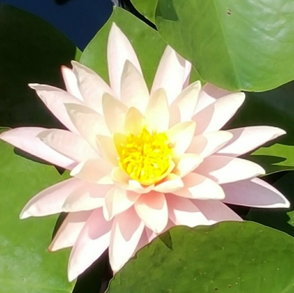 Meet your Posher, Kelly