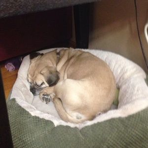 Meet your Posher, Pam