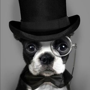 Meet your Posher, Keenan