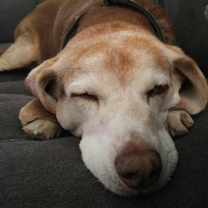 Meet your Posher, Fran