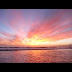 Meet your Posher, Gianna