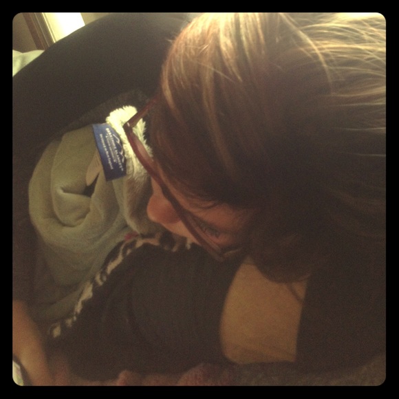 Bella - Picture 1 of 1