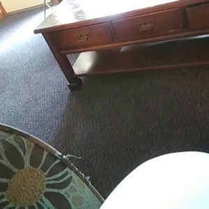 Meet your Posher, Ann