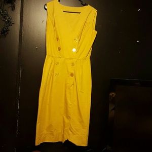 Fall -- Vintage Mustard Yellow Dress