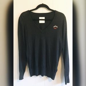 Hollister Navy Blue V-Neck Sweater