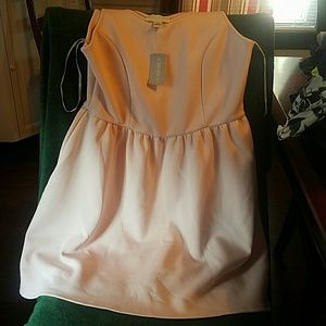 Forever 21 new with tags skater dress