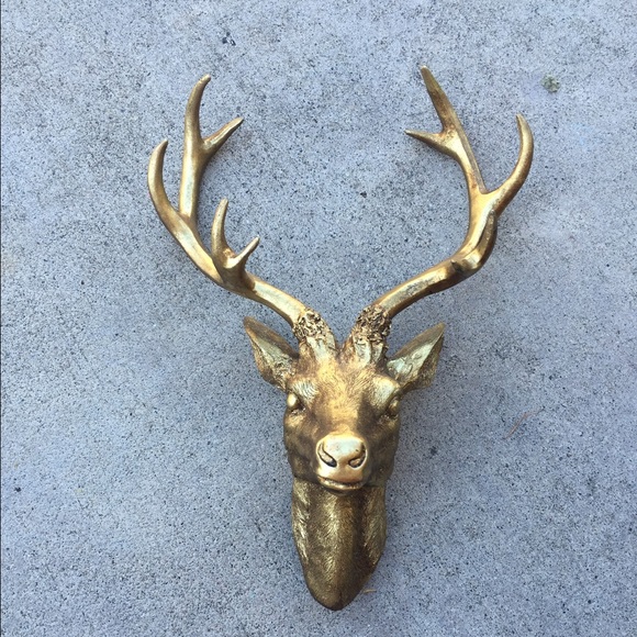 Deer head