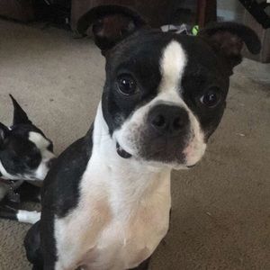 Meet your Posher, Dehanna