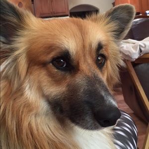 Meet your Posher, Ali