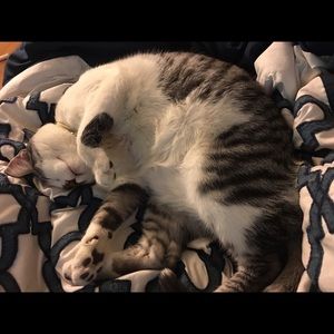 Meet your Posher, Allyssa