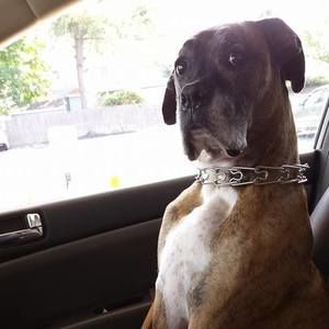 Meet your Posher, Karla