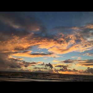 Meet your Posher, Dawn