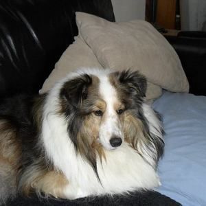 Meet your Posher, Kimberley