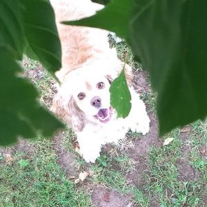 Meet your Posher, Shayla