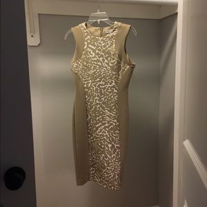 Calvin Klein dress size 6