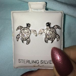 Turtle earnings