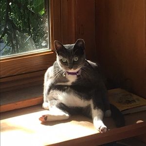 Meet your Posher, Macee