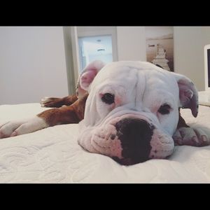 Meet your Posher, Kim