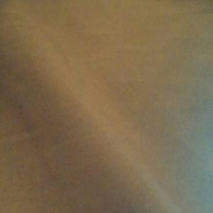 Meet your Posher, Shania