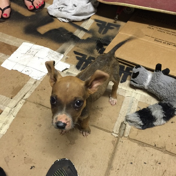 Meet your Posher, Stacey - Picture 1 of 1